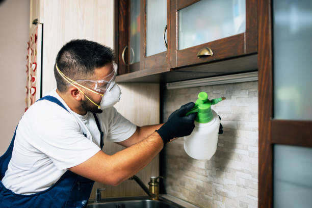 Best Commercial Pest Control Services  in Kimball, TN