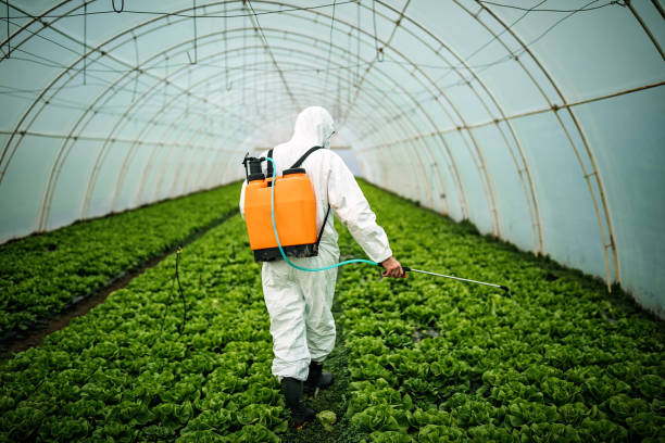 Best Affordable Exterminators  in Kimball, TN