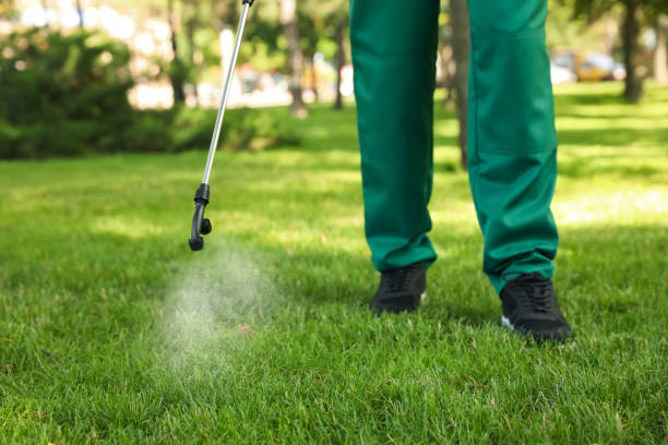 Insect Control in Kimball, TN