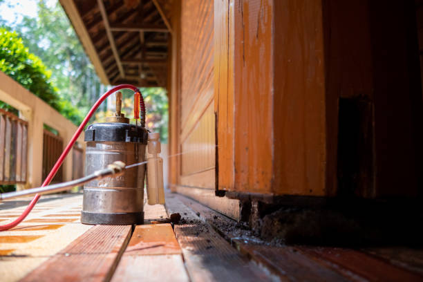 Best Exterminator Services  in Kimball, TN