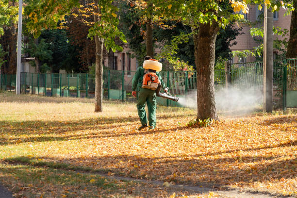 Kimball, TN Pest Control Company