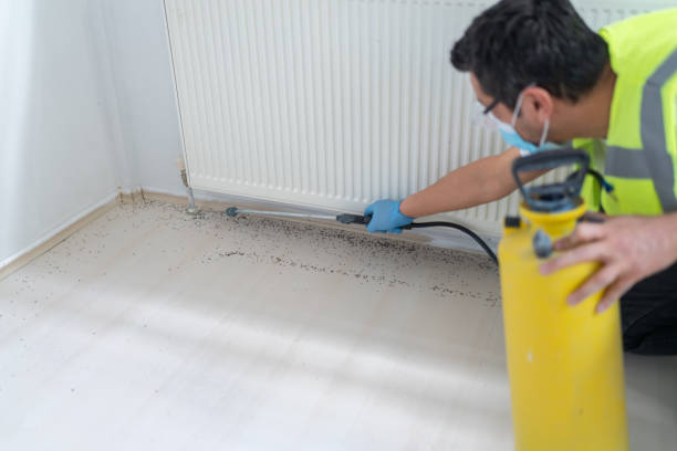 Best Bed Bug Extermination  in Kimball, TN
