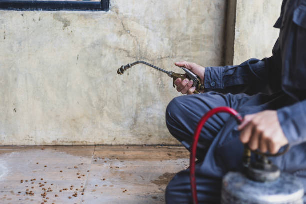 Wasp Removal Services in Kimball, TN